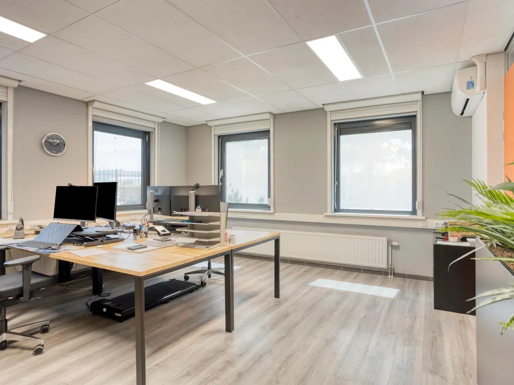 Minervum 7284, Breda