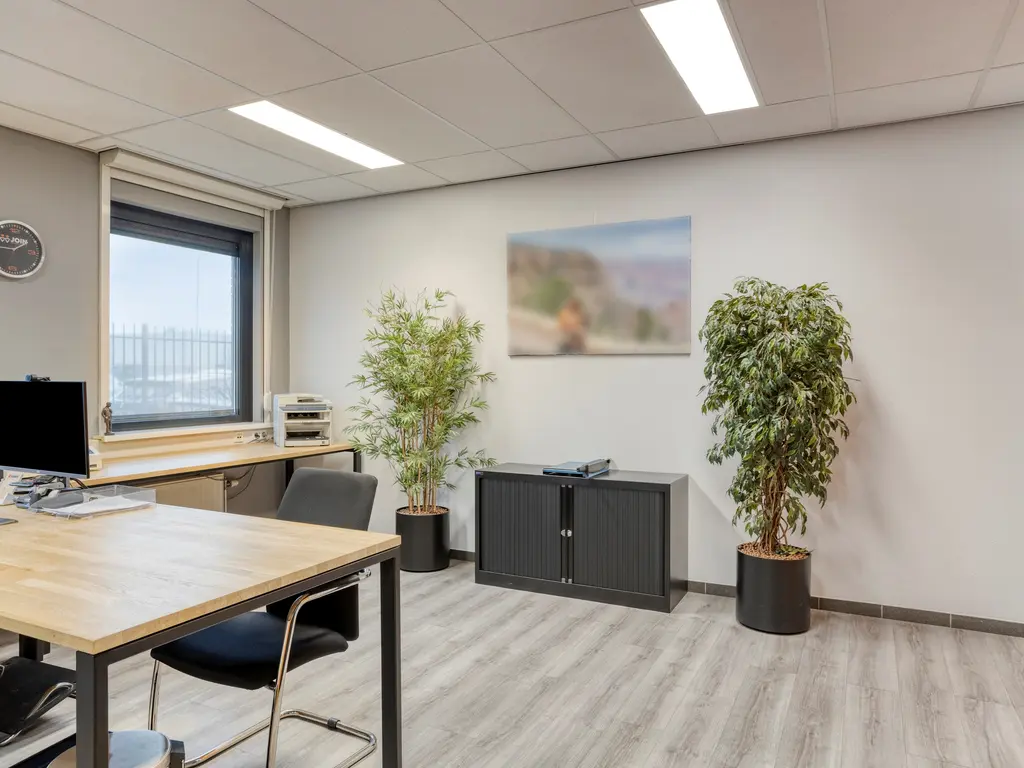 Minervum 7284, Breda
