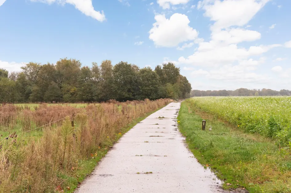 Langendijksestraat 5