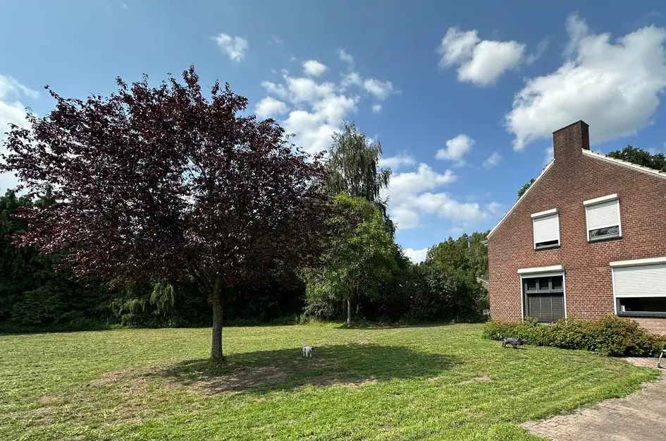 Wagenstraat 40