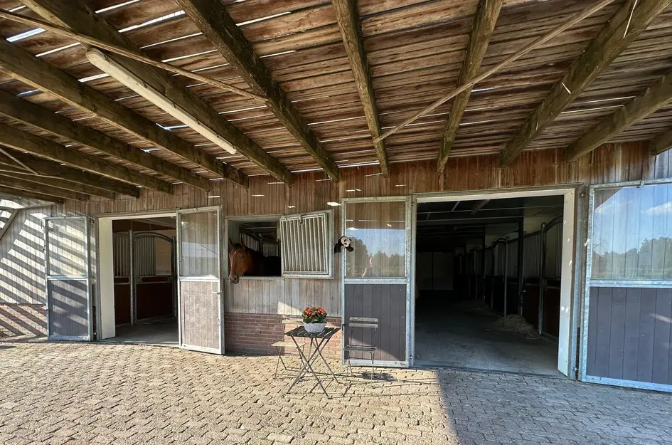 Wagenstraat 40