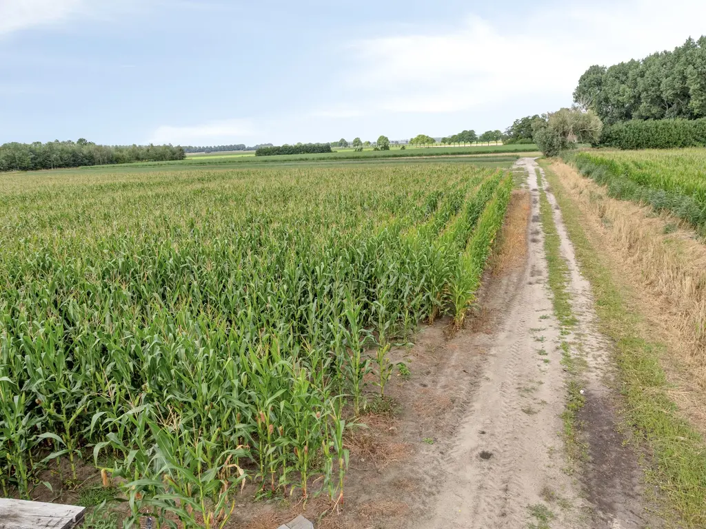 Polderweg 2a, Lepelstraat