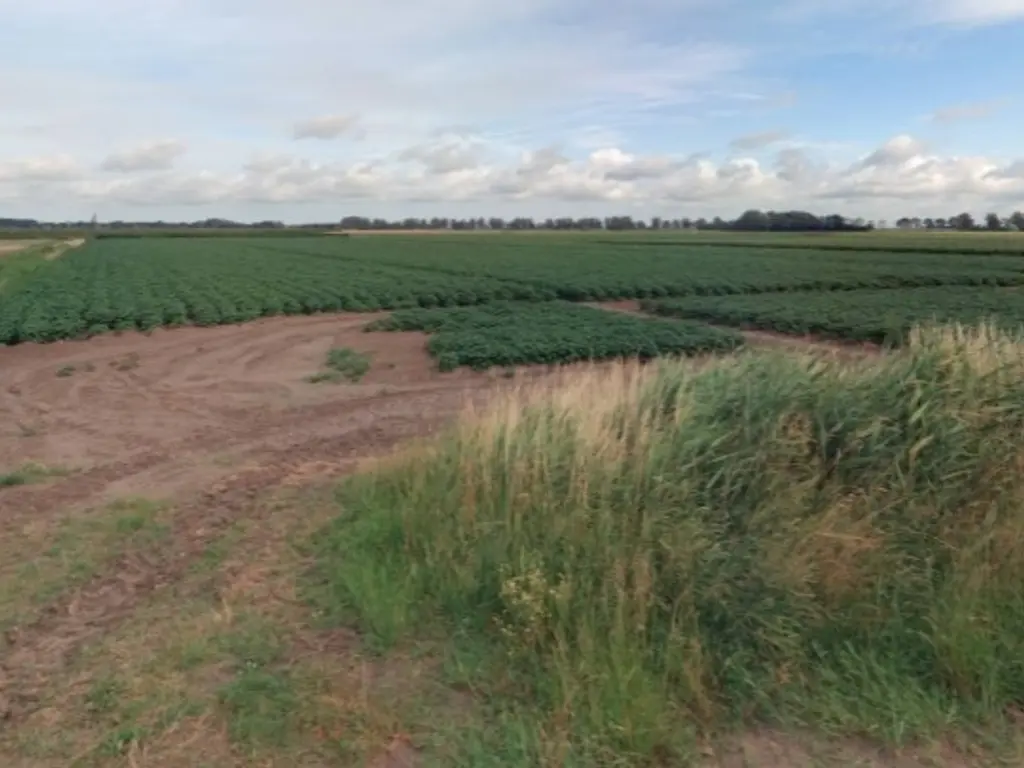 Pelsendijk , Nieuw-Vossemeer