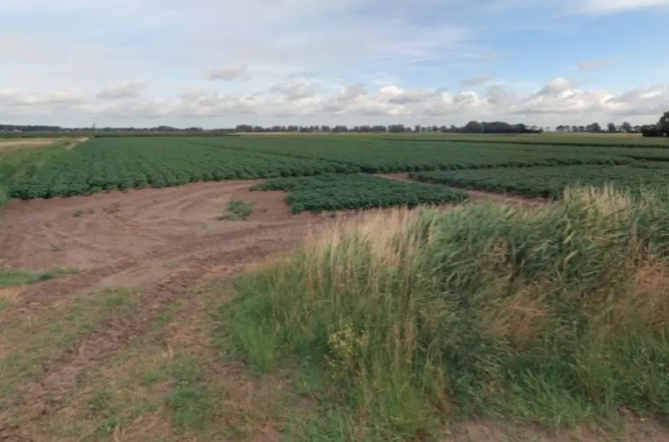 Pelsendijk 