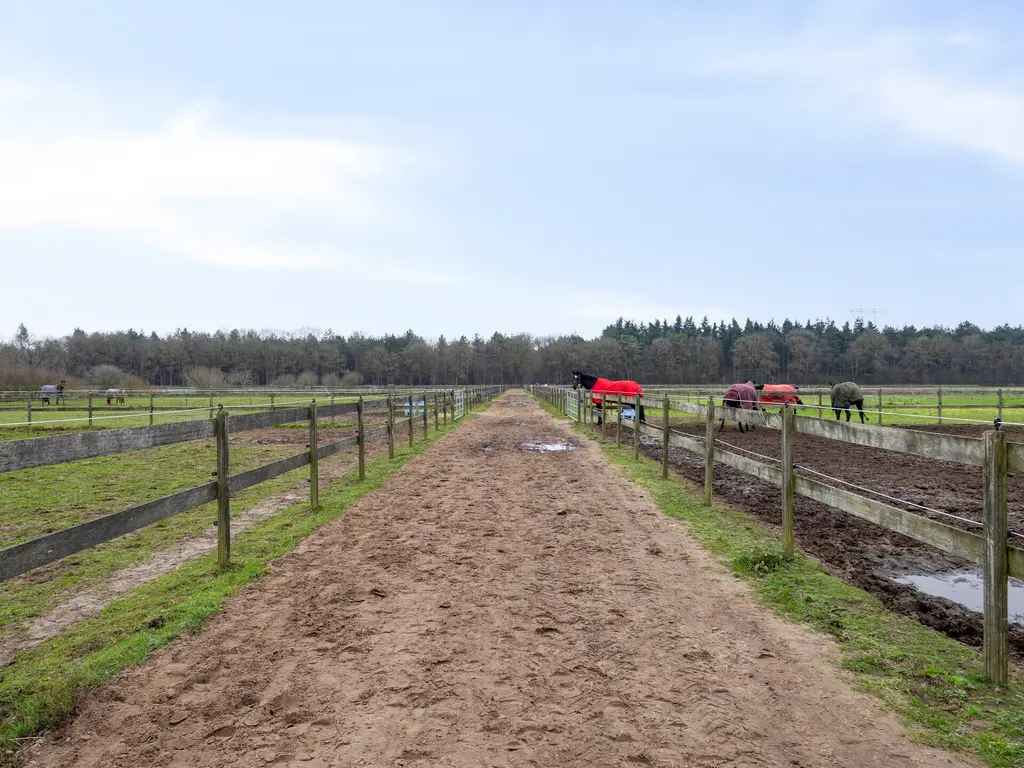 Sonniuswijk 37, Son En Breugel