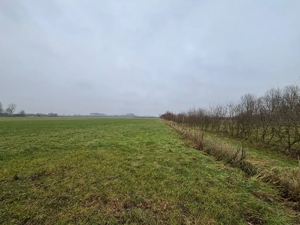 Muilkerk 30D, Dussen