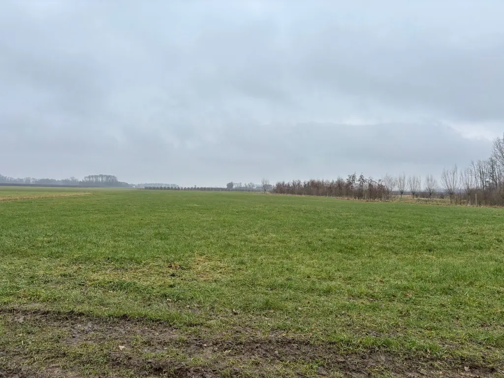 Muilkerk 30D, Dussen