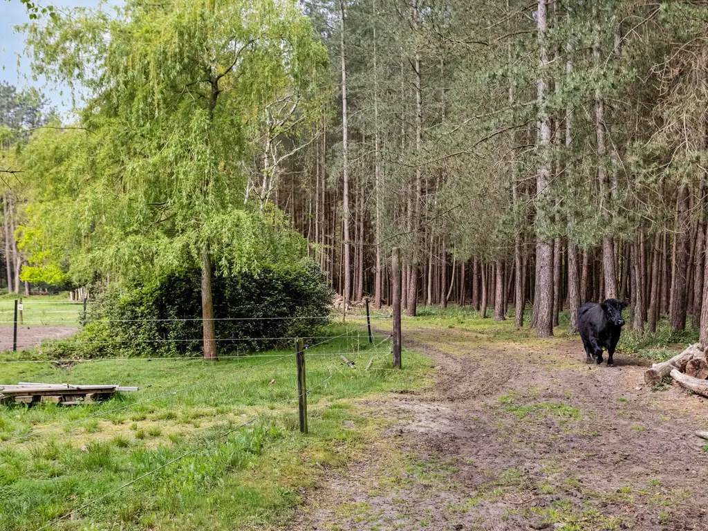 Zuidgeest 1A, Bergen op Zoom