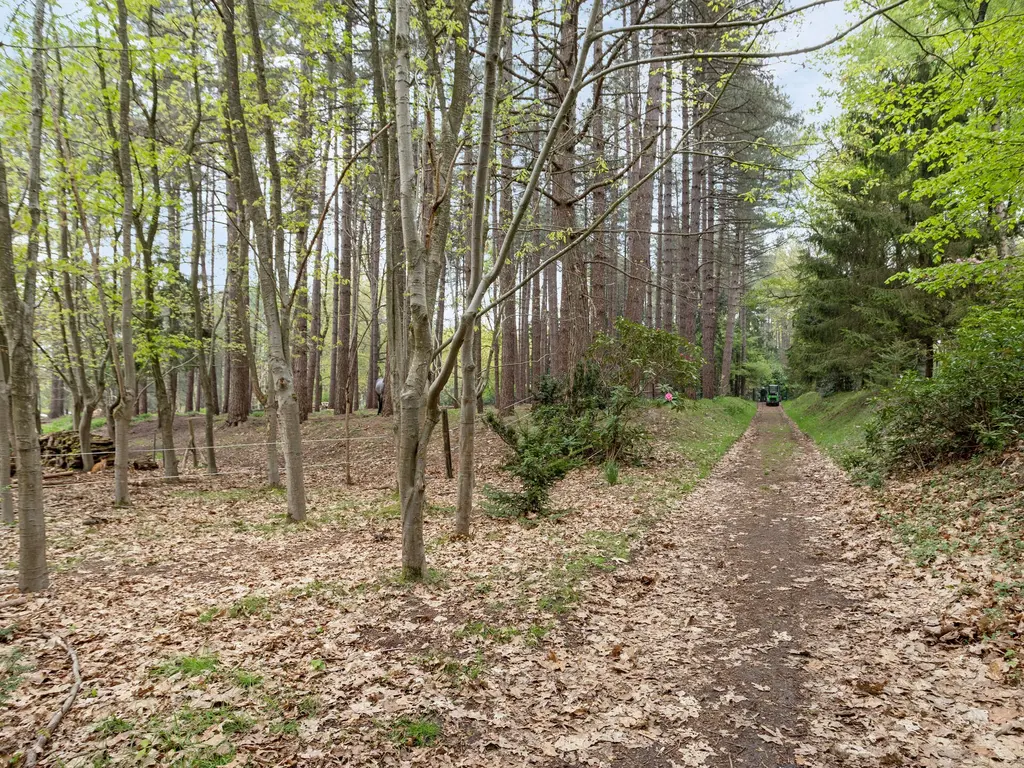 Zuidgeest 1A, Bergen op Zoom
