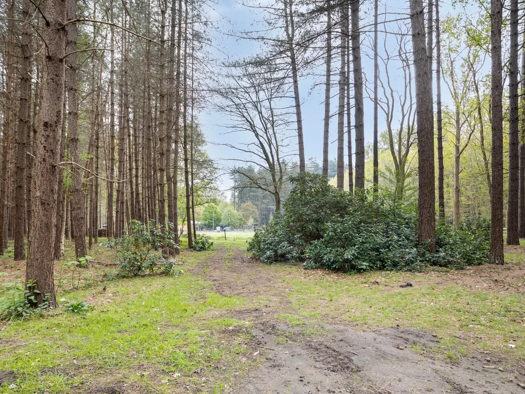 Zuidgeest 1A, Bergen op Zoom