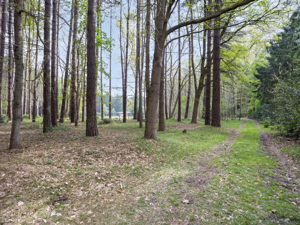 Zuidgeest 1A, Bergen op Zoom