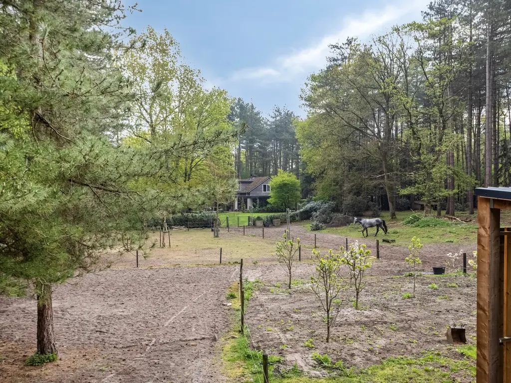 Zuidgeest 1A, Bergen op Zoom