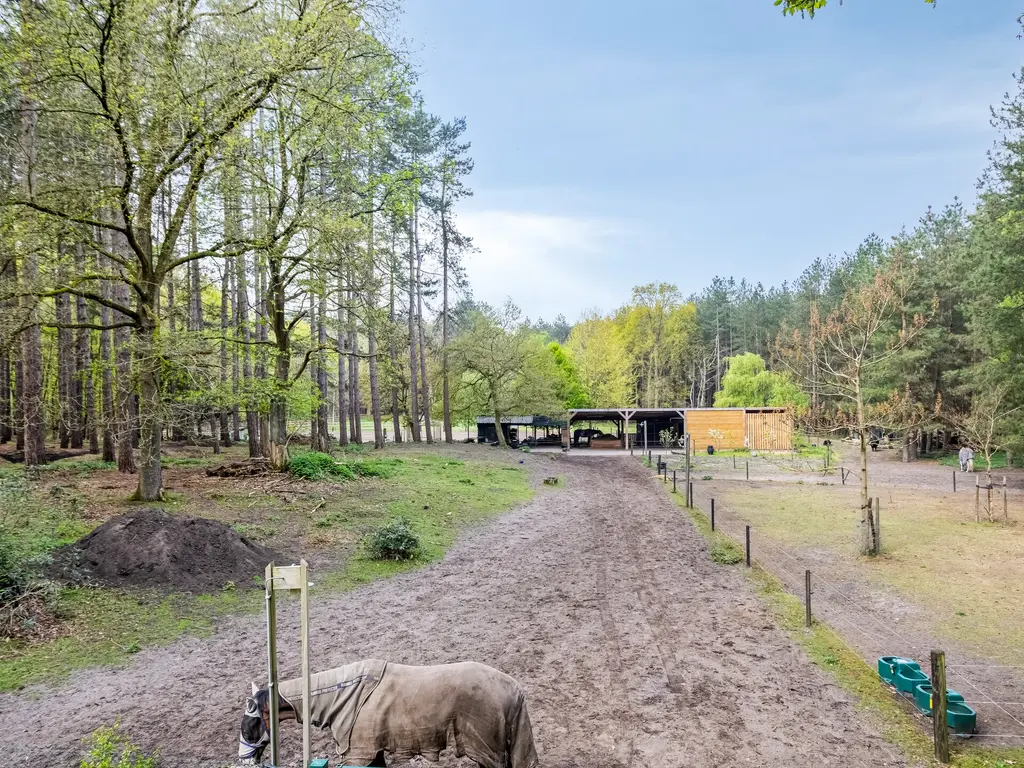 Zuidgeest 1A, Bergen op Zoom