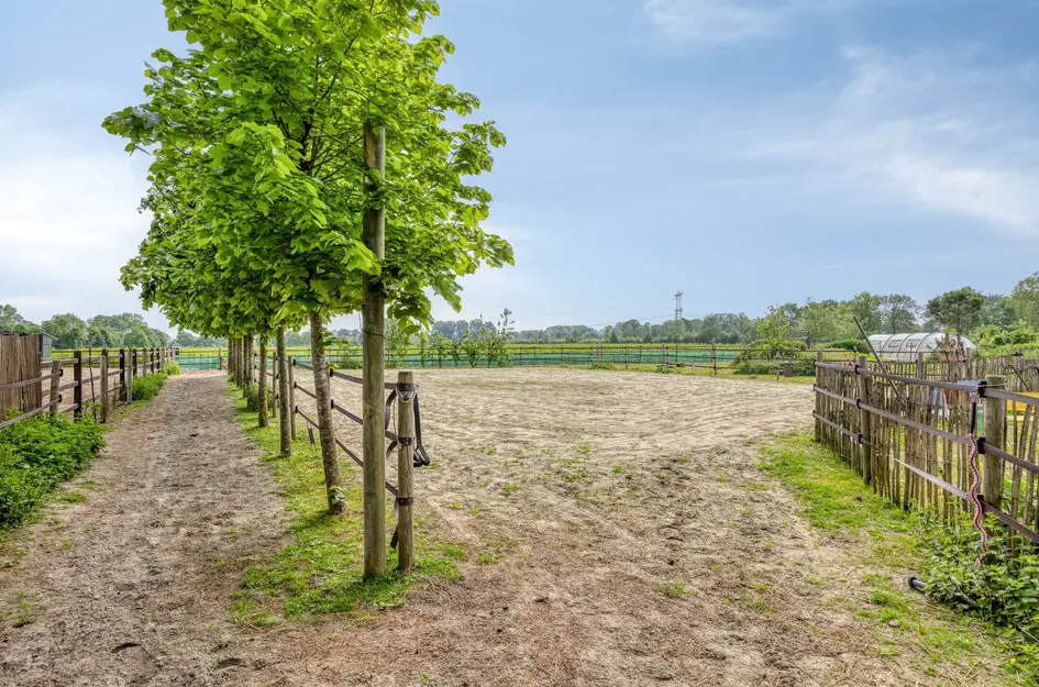 Dordrechtseweg 16A