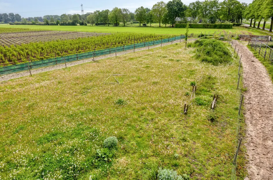 Dordrechtseweg 16A