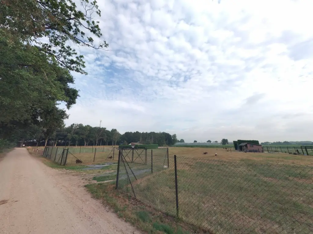 Sportlaan ONG, Hoogerheide