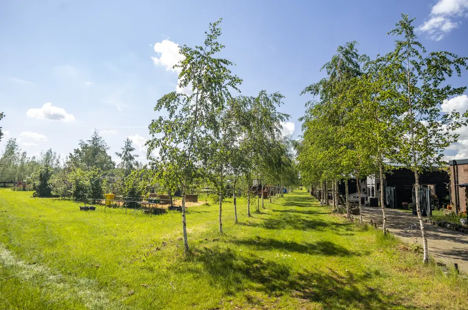 Loosbergstraat 7