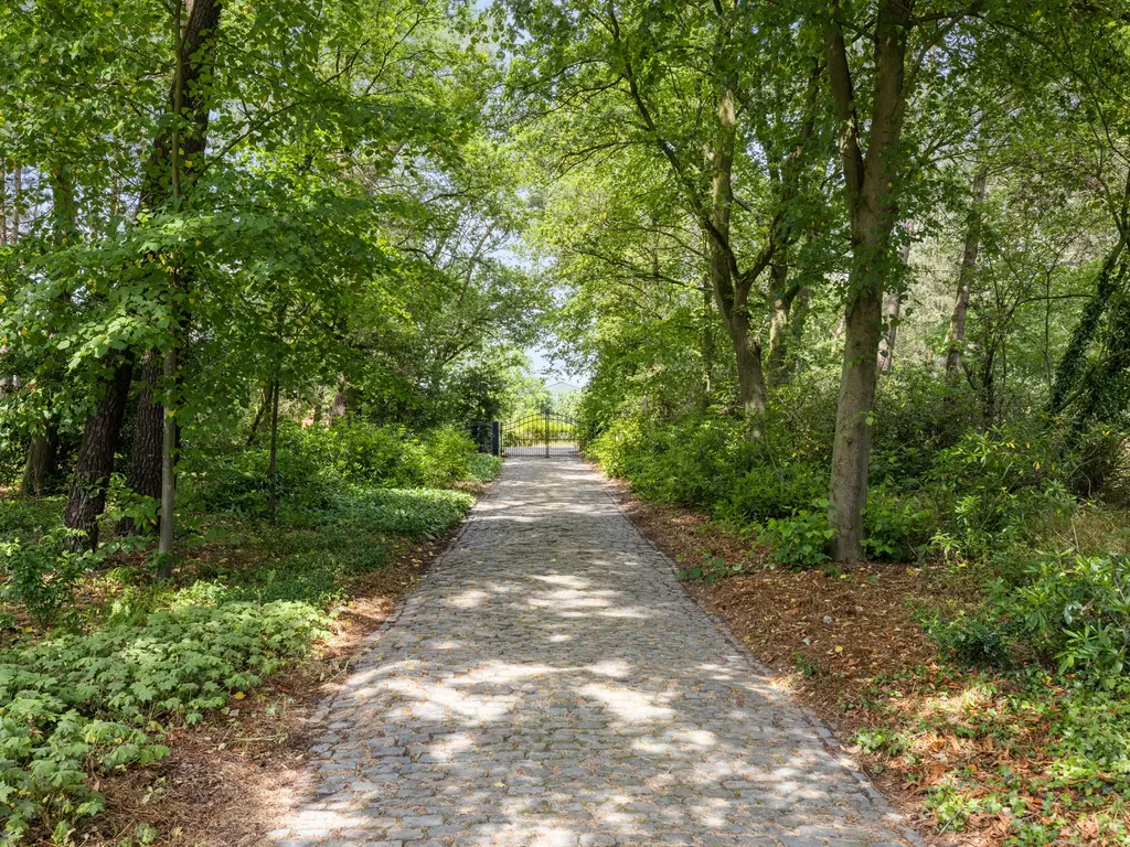 Plattebaan 2, Schijf