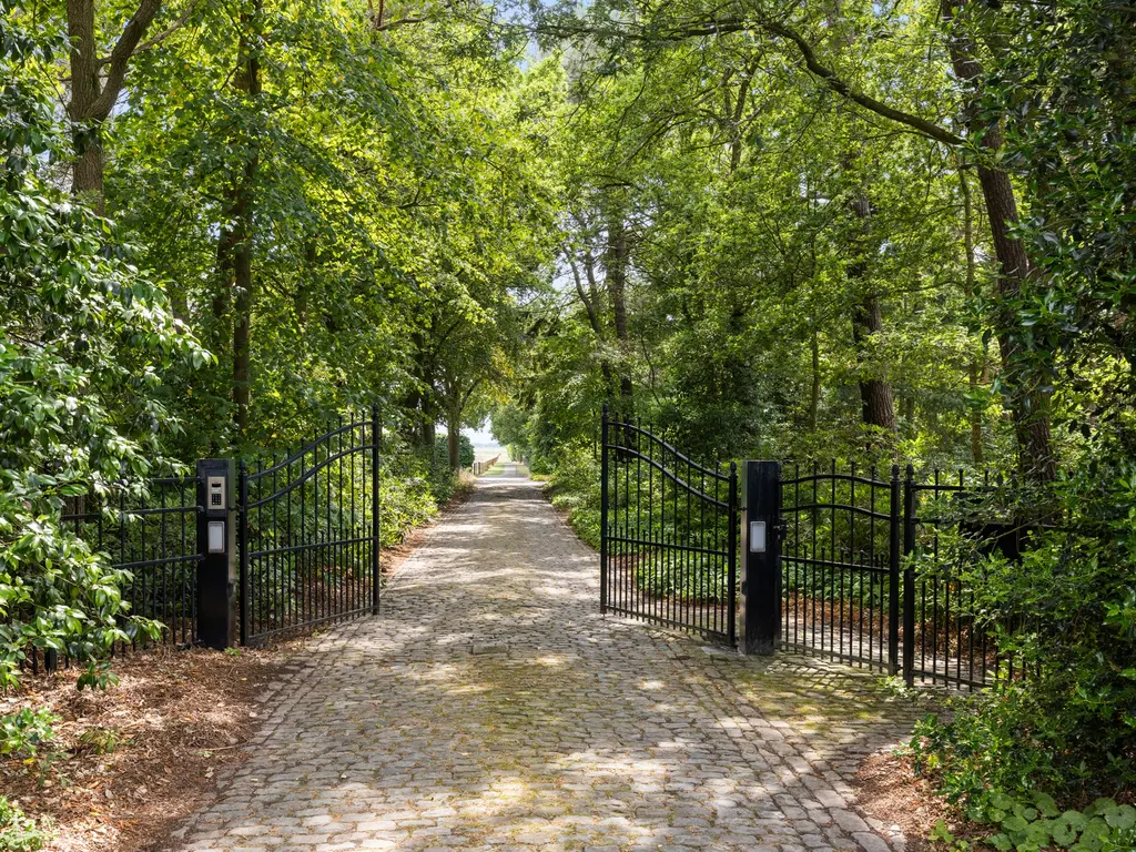 Plattebaan 2, Schijf
