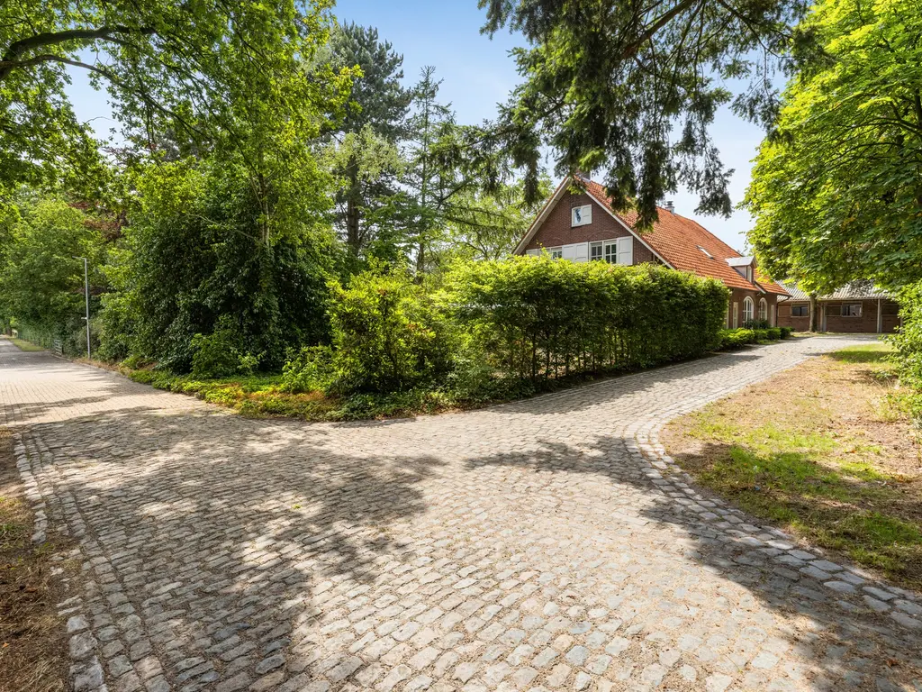 Plattebaan 2, Schijf