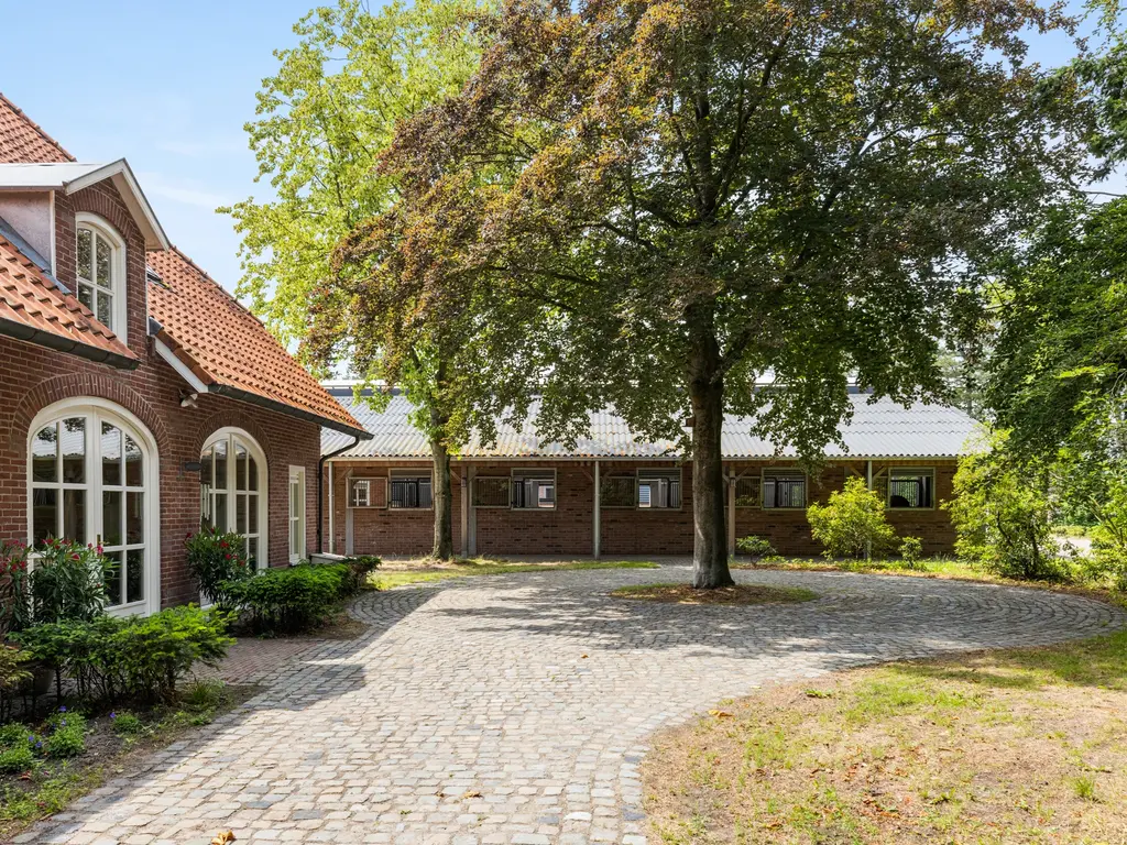 Plattebaan 2, Schijf