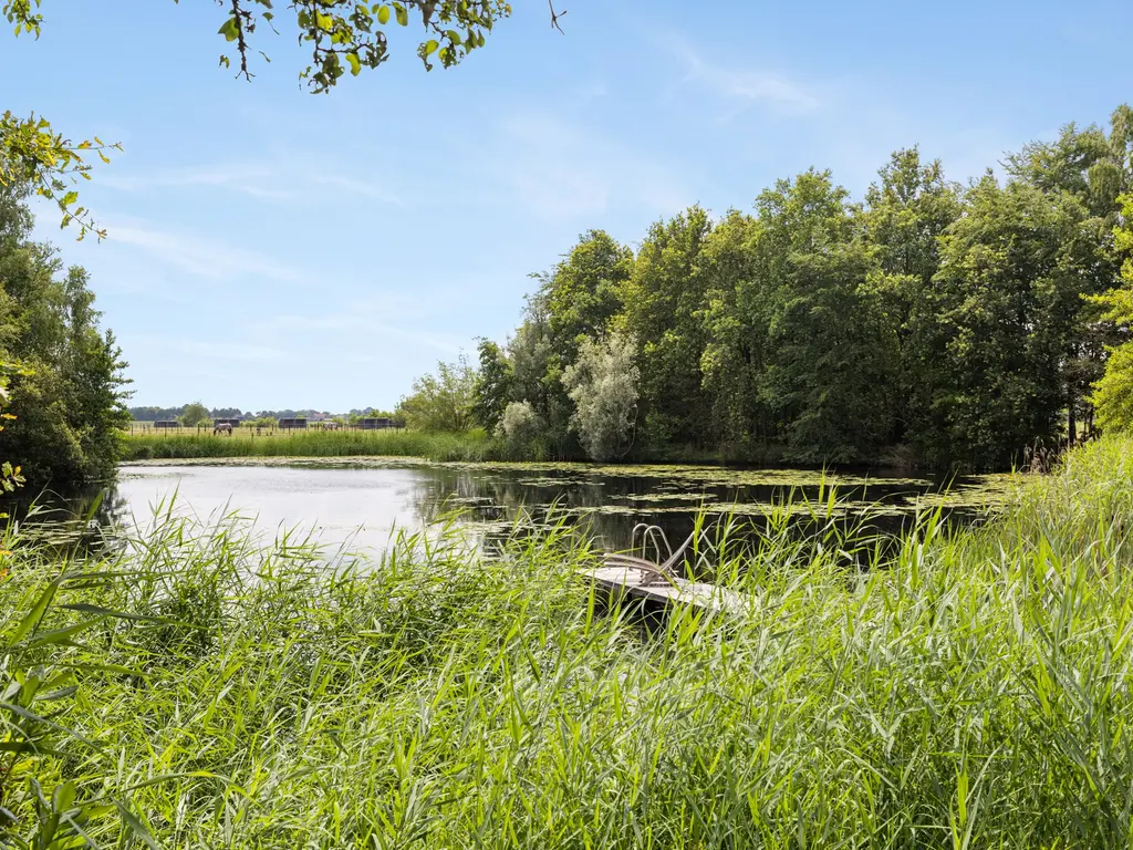 Plattebaan 2, Schijf