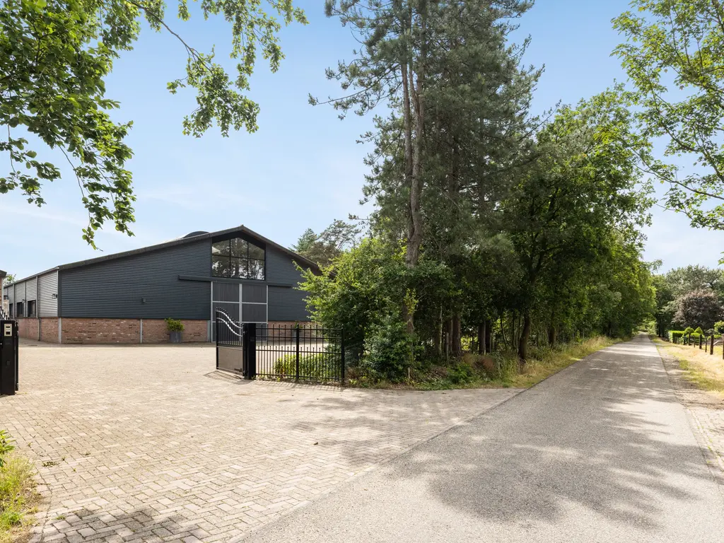 Plattebaan 2, Schijf