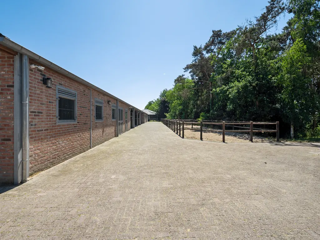 Plattebaan 2, Schijf
