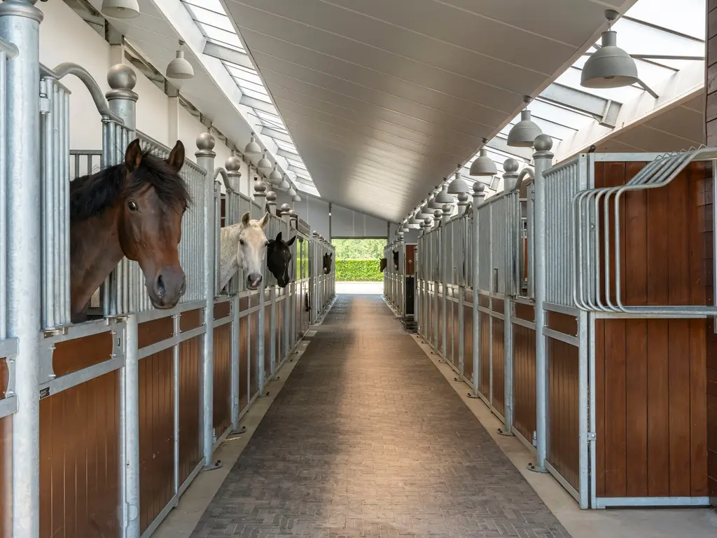 Gastelsedijk Zuid 4, Oud Gastel