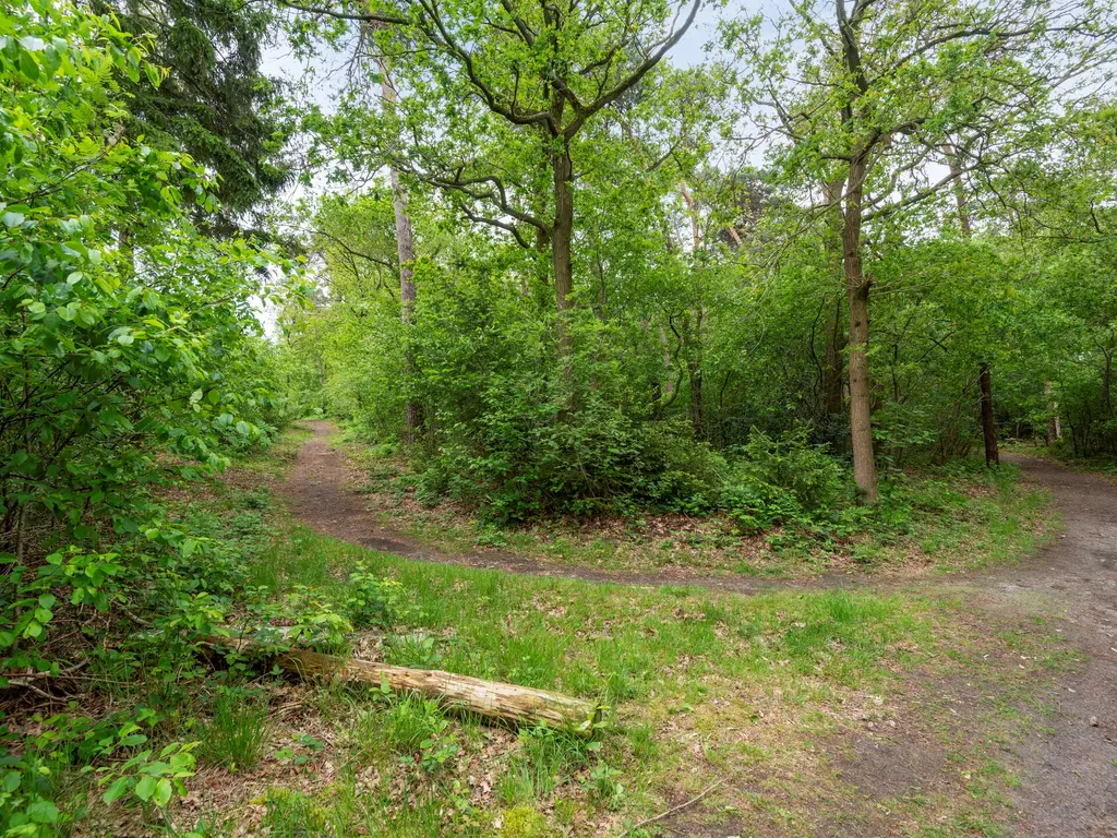 Posthoorn 9, Rucphen