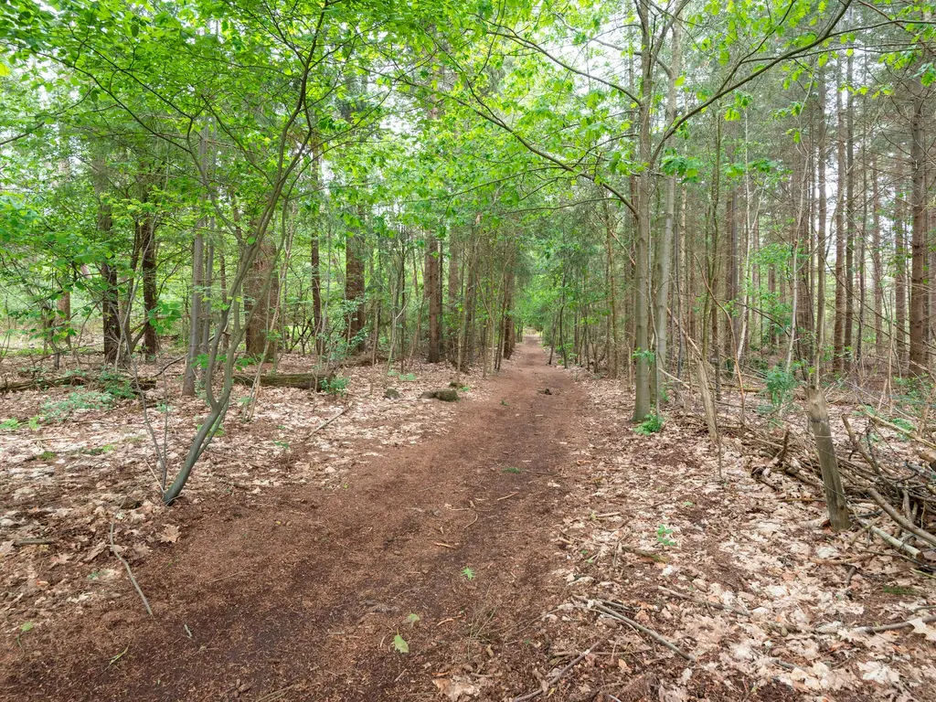 Posthoorn 9, Rucphen