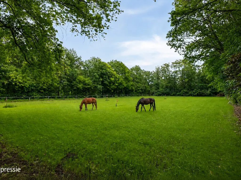 Oude Rielsebaan 185, Tilburg