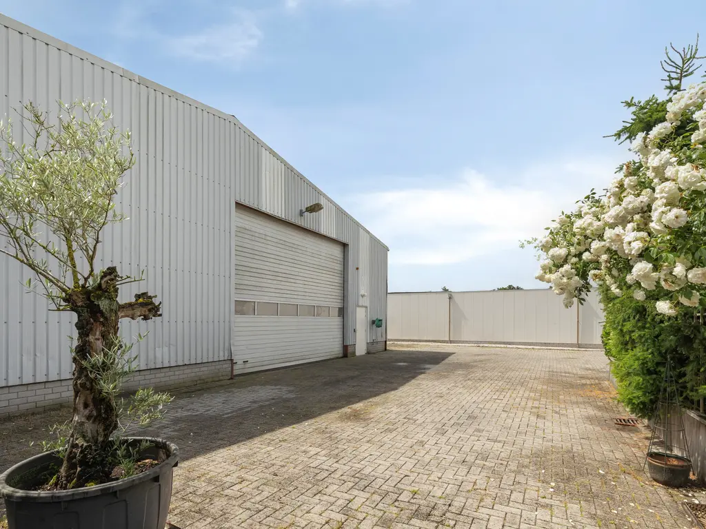 Veertels 6, Riel
