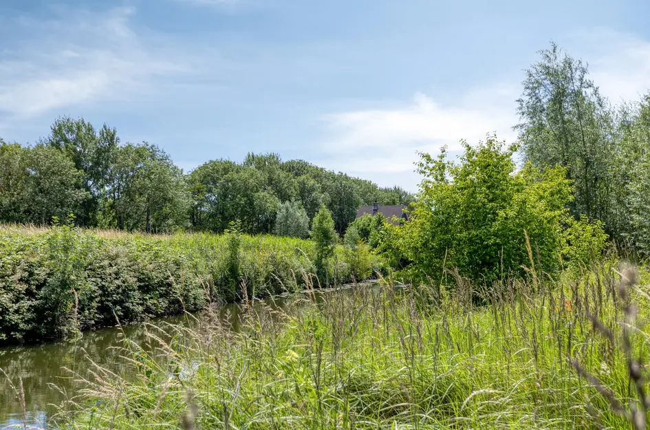 Huizersdijk 16