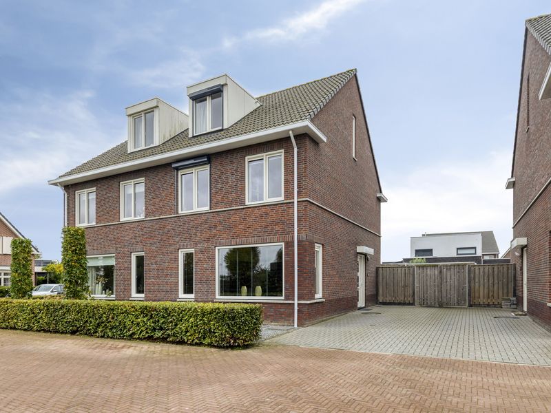 Zilveren Schoe 36, GOES