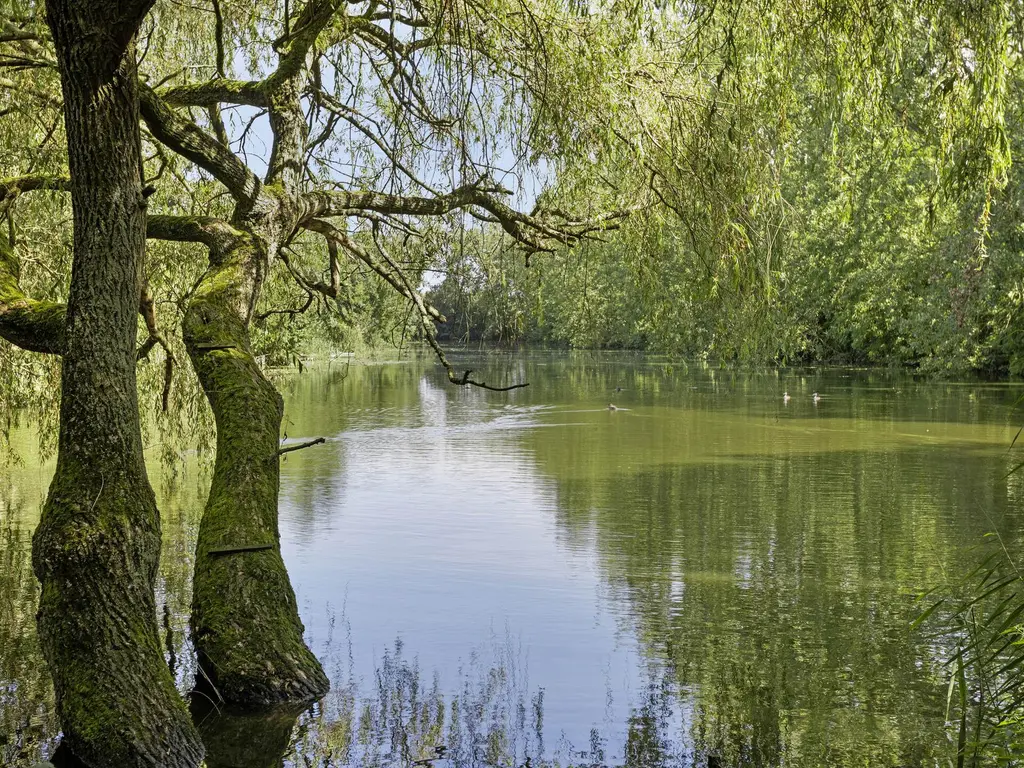 Molendijk 79, OOLTGENSPLAAT