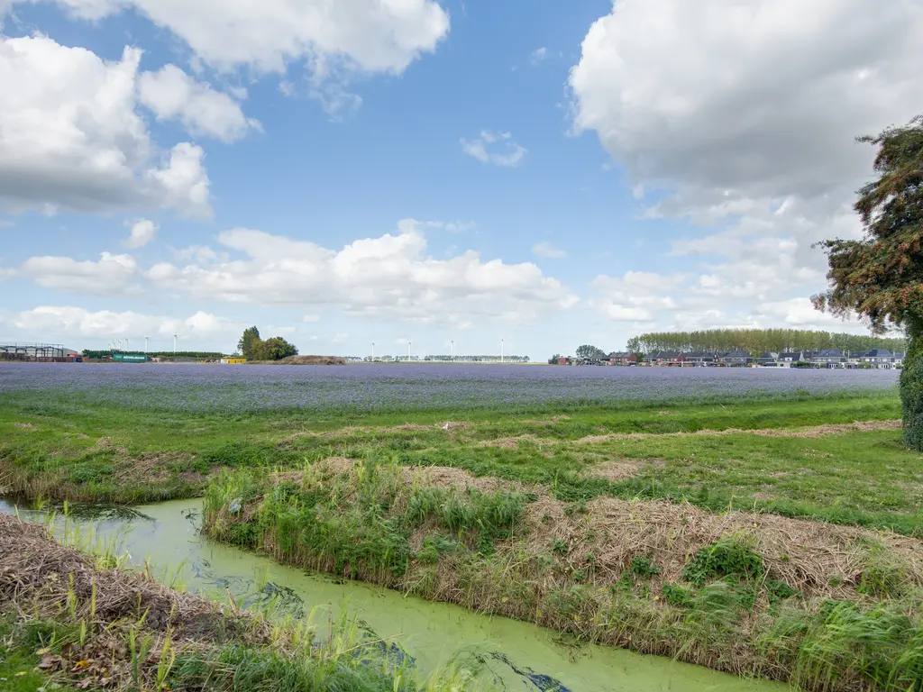 Lieve Vrouwepoldersedijk 23, STAD AAN 'T HARINGVLIET