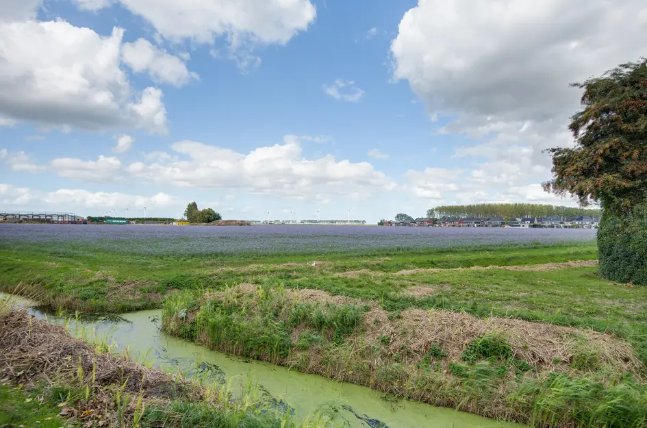Lieve Vrouwepoldersedijk 23