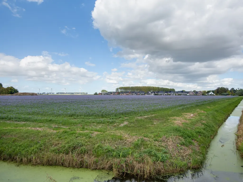 Lieve Vrouwepoldersedijk 23, STAD AAN 'T HARINGVLIET