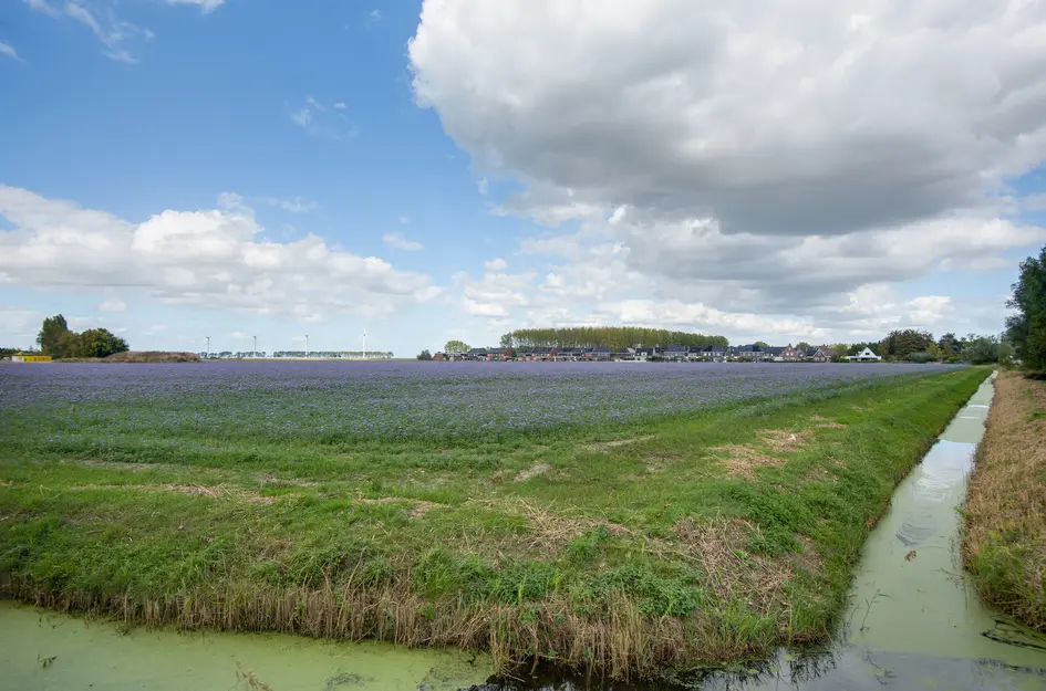 Lieve Vrouwepoldersedijk 23