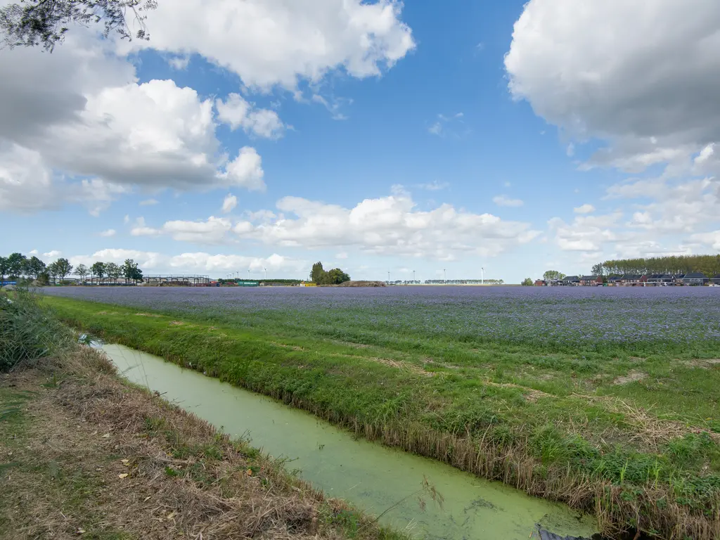 Lieve Vrouwepoldersedijk 23, STAD AAN 'T HARINGVLIET