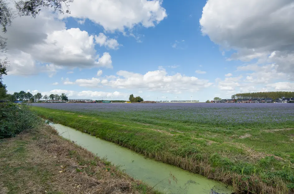 Lieve Vrouwepoldersedijk 23