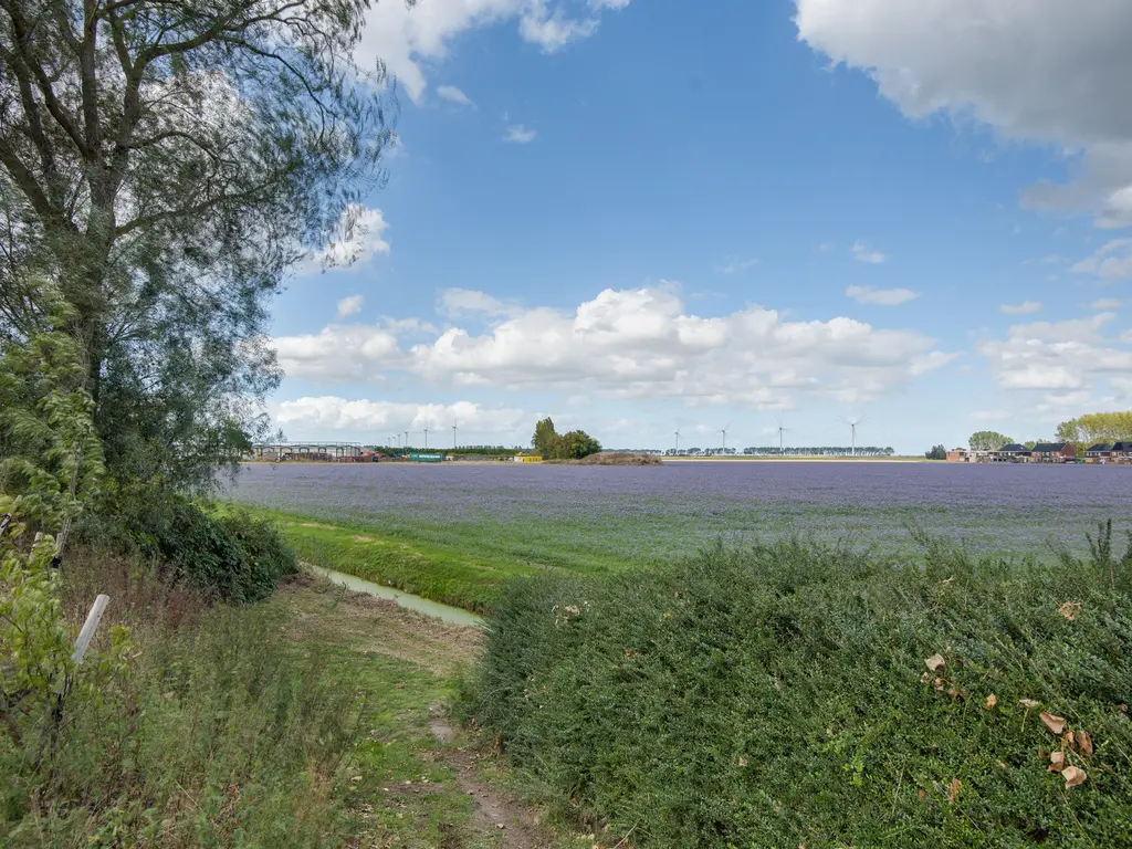 Lieve Vrouwepoldersedijk 23, STAD AAN 'T HARINGVLIET