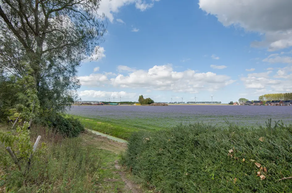 Lieve Vrouwepoldersedijk 23