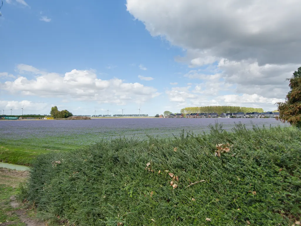Lieve Vrouwepoldersedijk 23, STAD AAN 'T HARINGVLIET