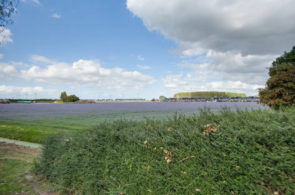 Lieve Vrouwepoldersedijk 23