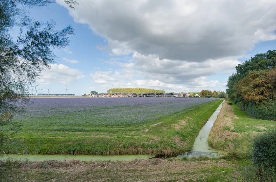 Lieve Vrouwepoldersedijk 23