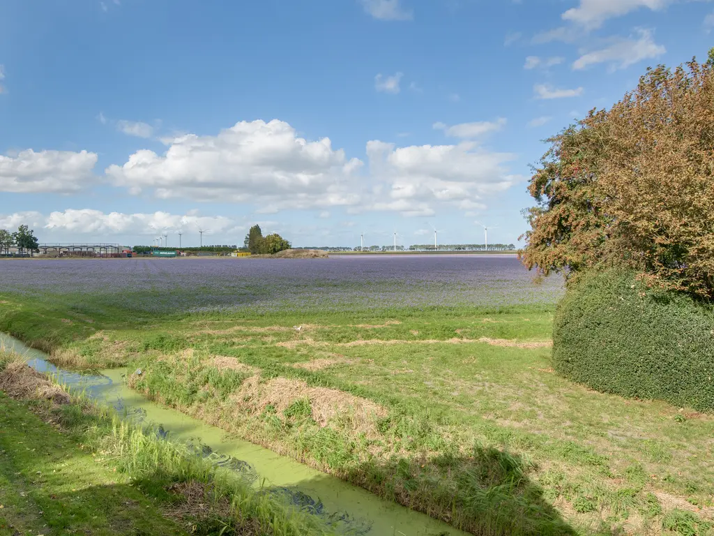 Lieve Vrouwepoldersedijk 23, STAD AAN 'T HARINGVLIET