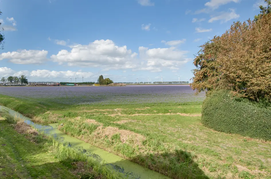 Lieve Vrouwepoldersedijk 23