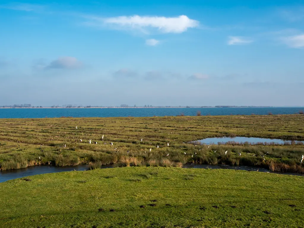 Wilhelminastraat 5, DEN BOMMEL